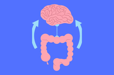 The Gut-Brain Connection and the Importance of Lifestyle in Maintaining It