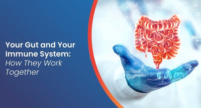 Gut Health and Its Role in Fighting Disease