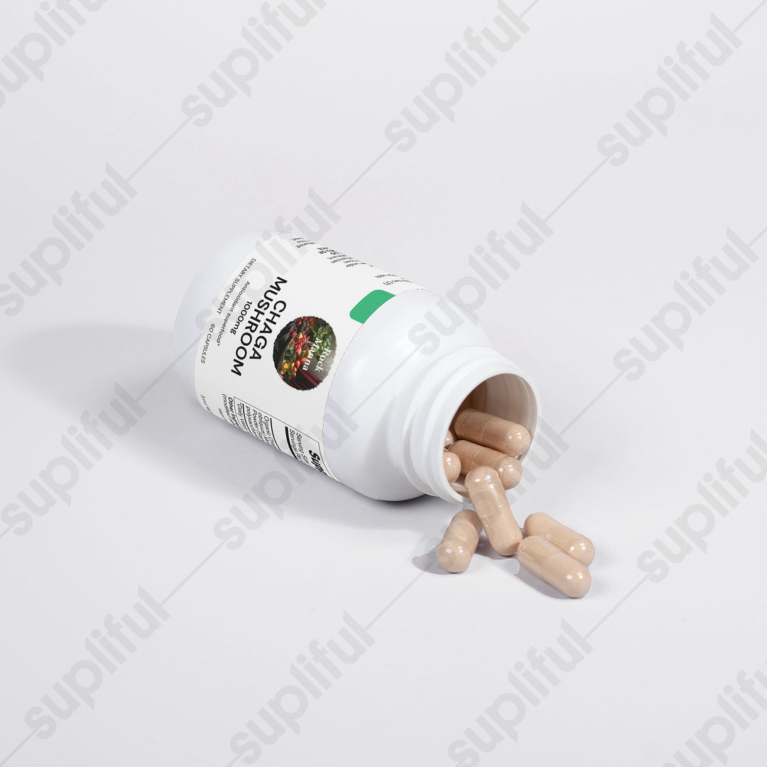 Chaga Mushroom  Rock Manna