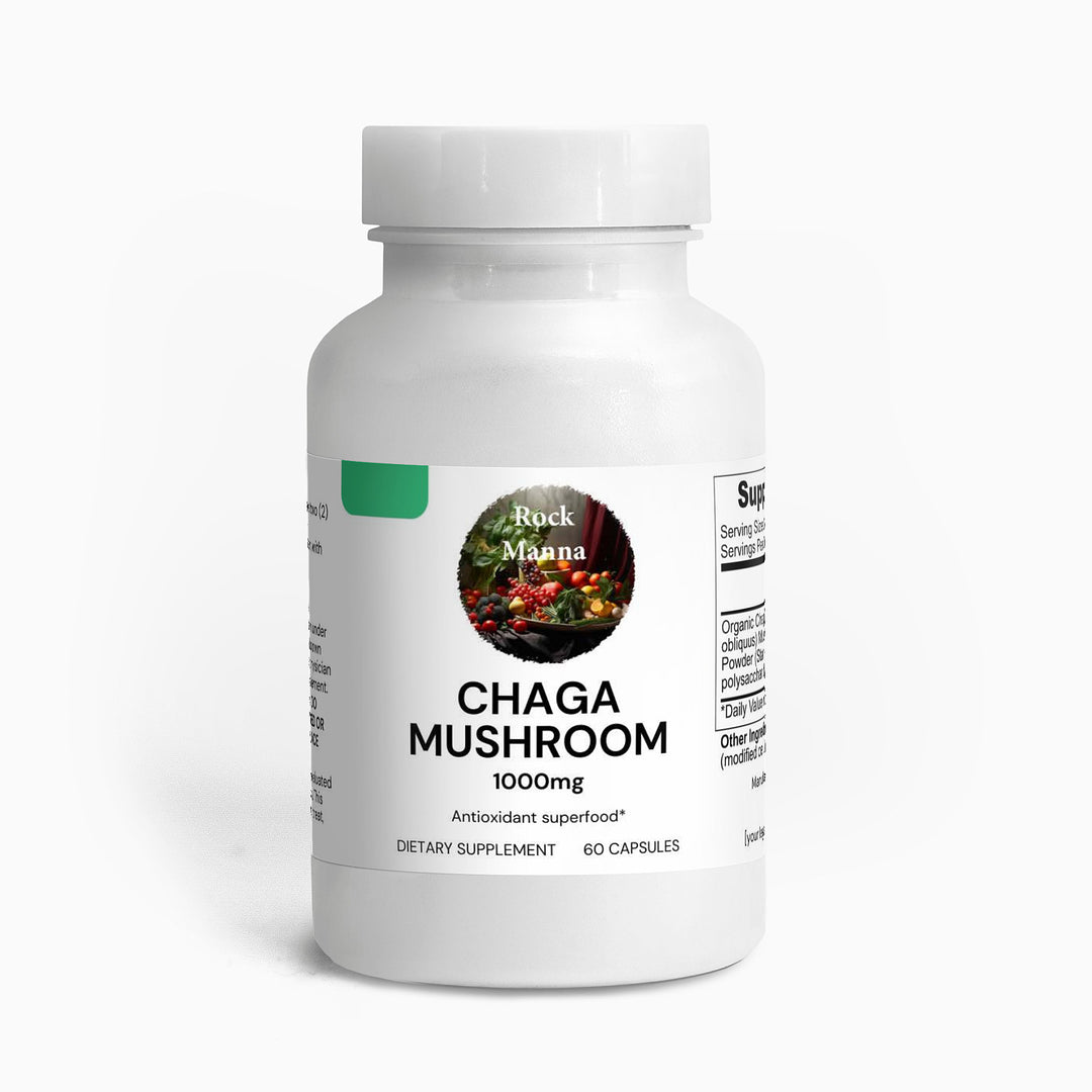 Chaga Mushroom  Rock Manna